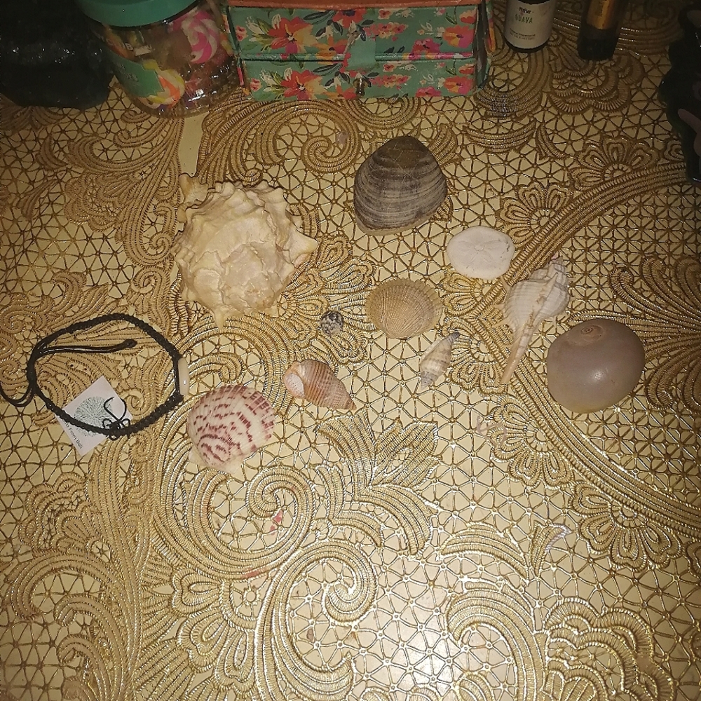 Shell collection